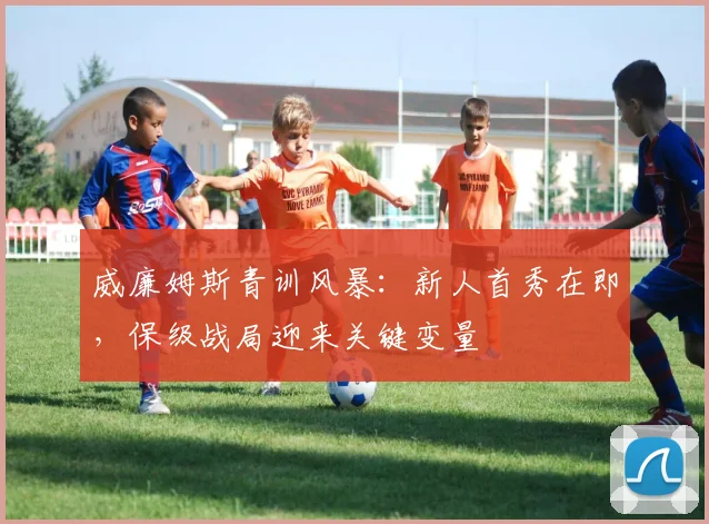 威廉姆斯青训风暴：新人首秀在即，保级战局迎来关键变量 - 南宫28