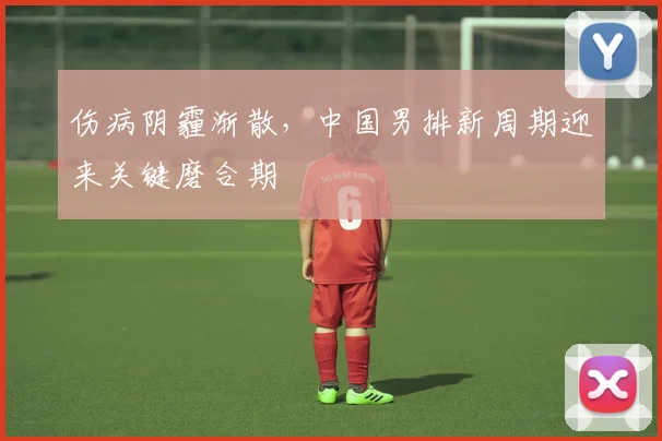 伤病阴霾渐散,中国男排新周期迎来关键磨合期