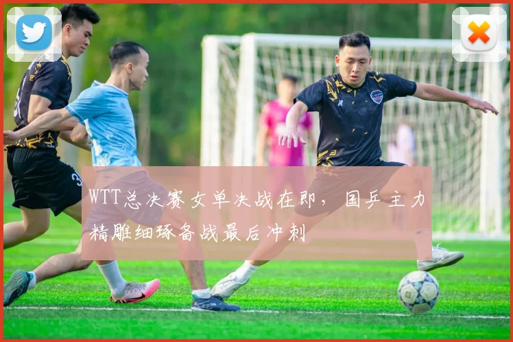 WTT总决赛女单决战在即，国乒主力精雕细琢备战最后冲刺